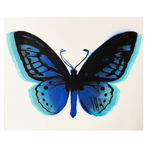 Siyowin x Rolland Berry Butterfly Series