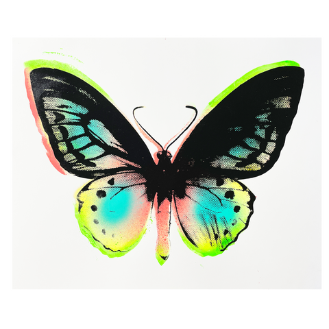 Siyowin x Rolland Berry Butterfly Series